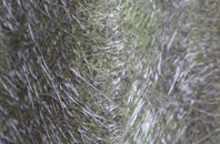 Whaddon Gap fibreglass roof work